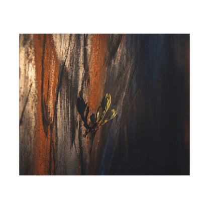 Rust Patina Charcoal Ink Canvas Art | Moody Dark Japandi Art