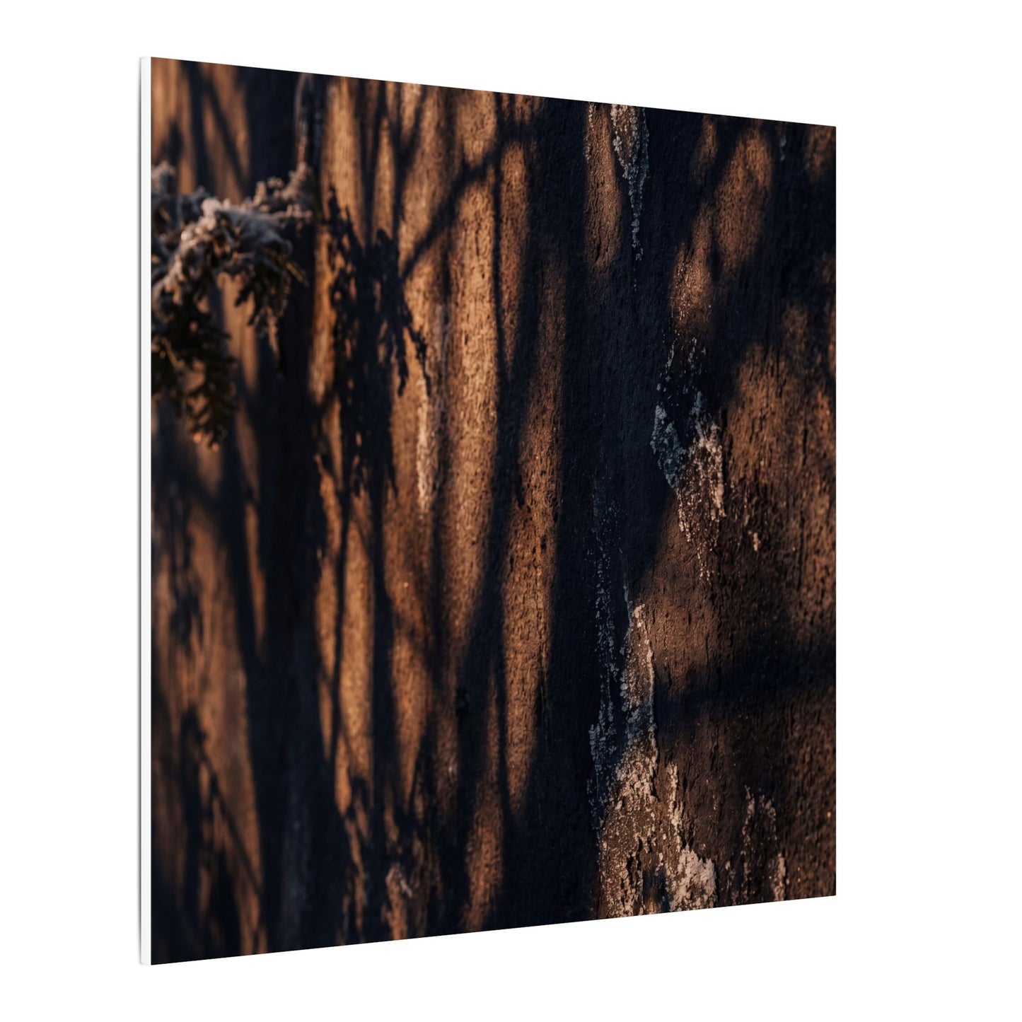 Golden Hour Shadow Play Canvas Art - Dark Japandi Fukinsei