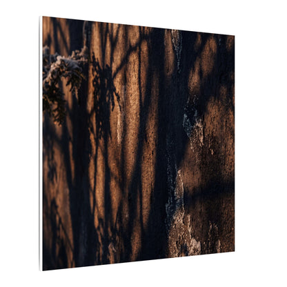 Golden Hour Shadow Play Canvas Art - Dark Japandi Fukinsei