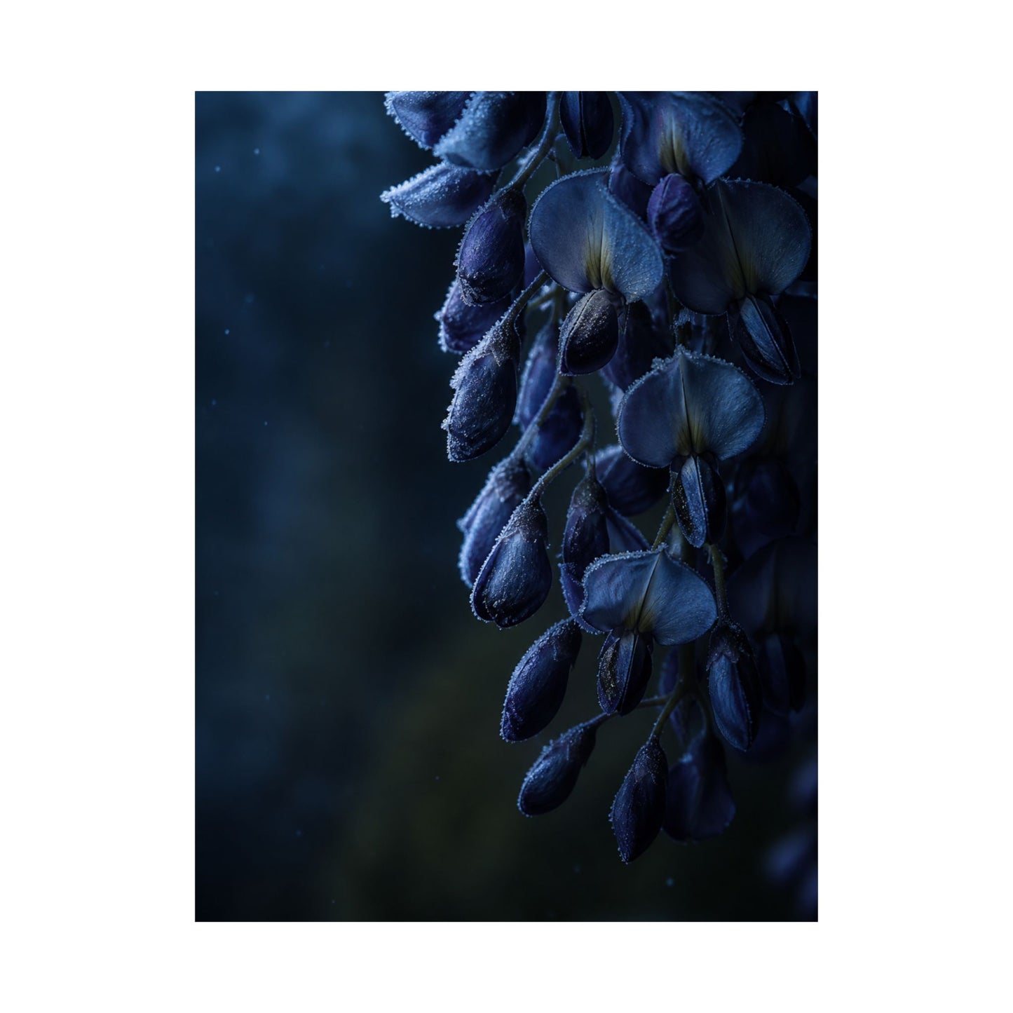 Wisteria Shadow Zen Wall Art Print | Sophisticated Dark Japandi Art