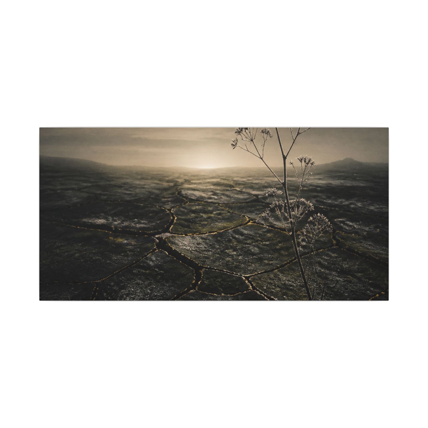 Dawn Cracked Earth Canvas Art - Dark Japandi Mono No Aware