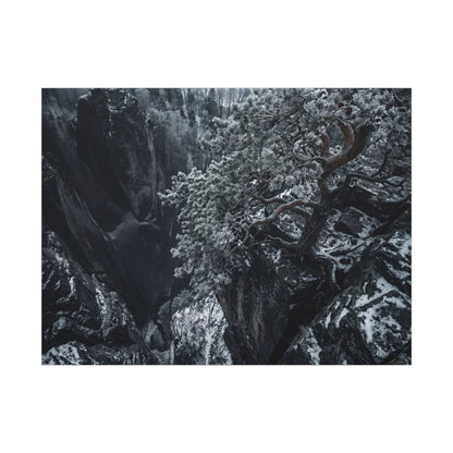 Dark Japandi Pine Tree in Dappled | Dark Texture Canvas Art Art Print