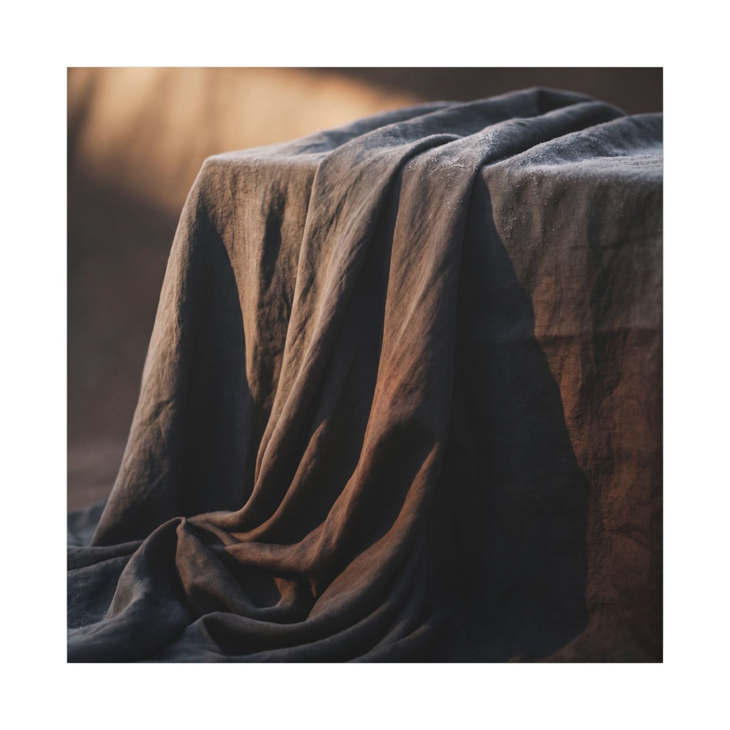 Silk Drape Canvas Art | Winter Dark Japandi Shadow Zen Art