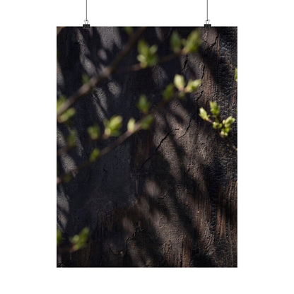 Shadow Play Dark Texture Wall Art Print | Atmospheric Dark Japandi Art
