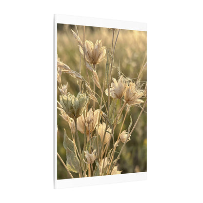 Summer Dried Flowers Minimal Line Canvas Art | Cozy Decor