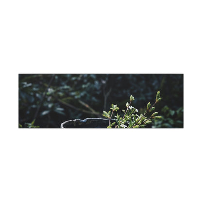 Dappled Ceramic Bowl Canvas Art - Dark Japandi Datsuzoku