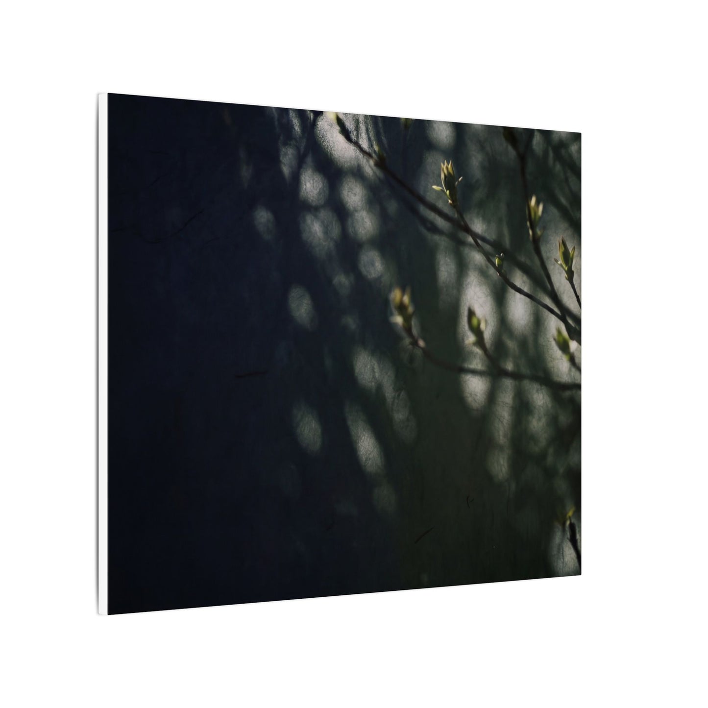 Dark Japandi Shoji Screen in Dappled | Moody Minimal Canvas Art