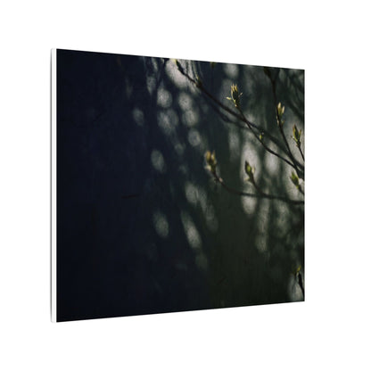 Dark Japandi Shoji Screen in Dappled | Moody Minimal Canvas Art
