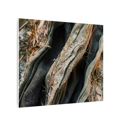 Silk Drape Winter Canvas Art | Japandi Cozy Design
