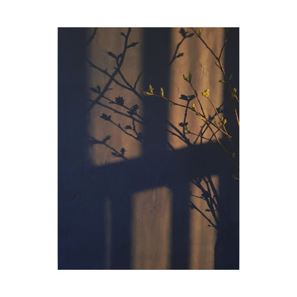 Shadow Play Canvas Art | Spring Dark Japandi Shadow Zen Art