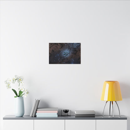 Bold Cherry Blossom Canvas Art - Charcoal Ink Dark Japandi