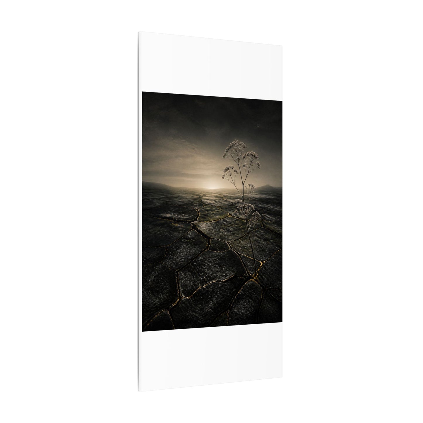 Dawn Cracked Earth Canvas Art - Dark Japandi Mono No Aware