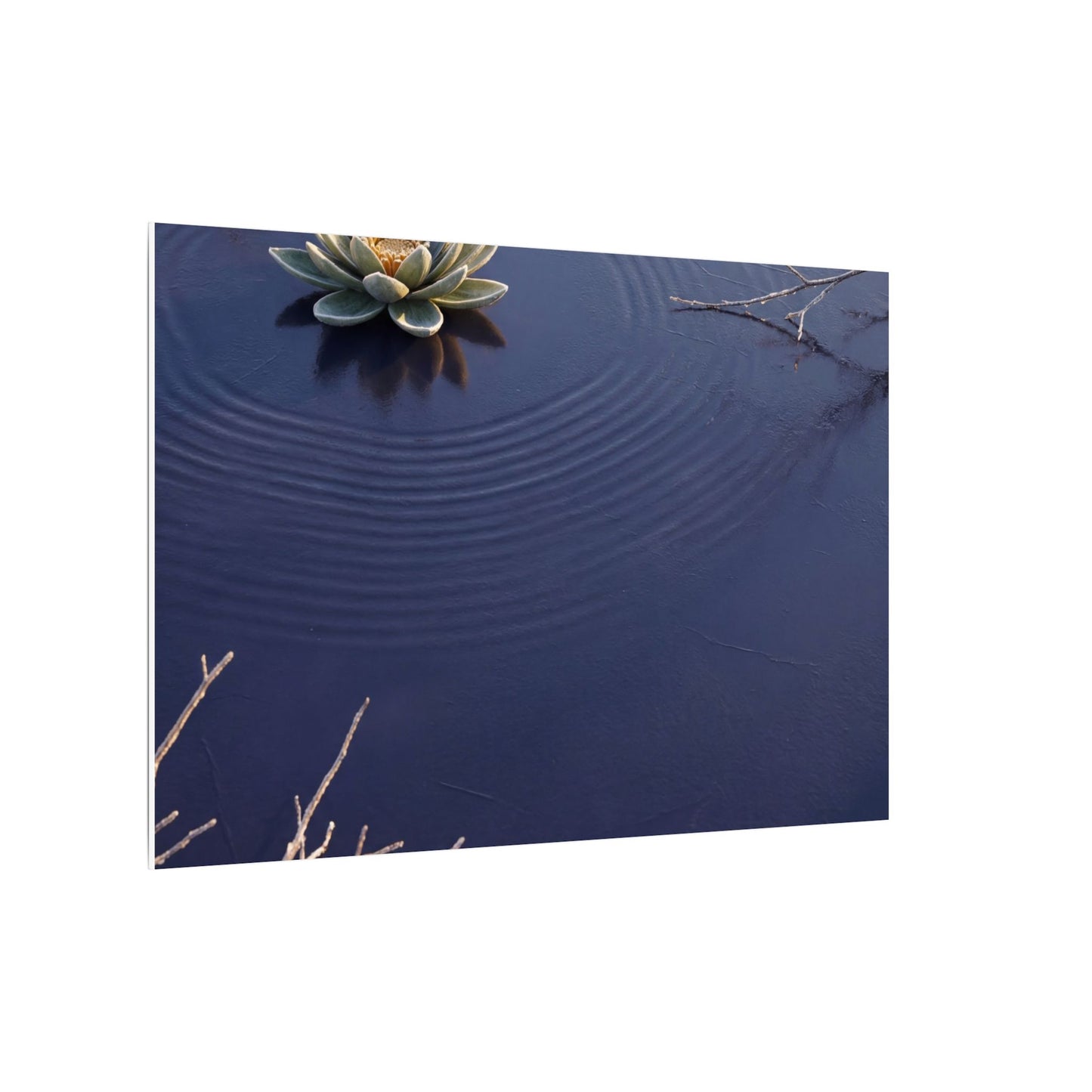 Lotus Flower Canvas Art | Winter Zen Karesansui Art