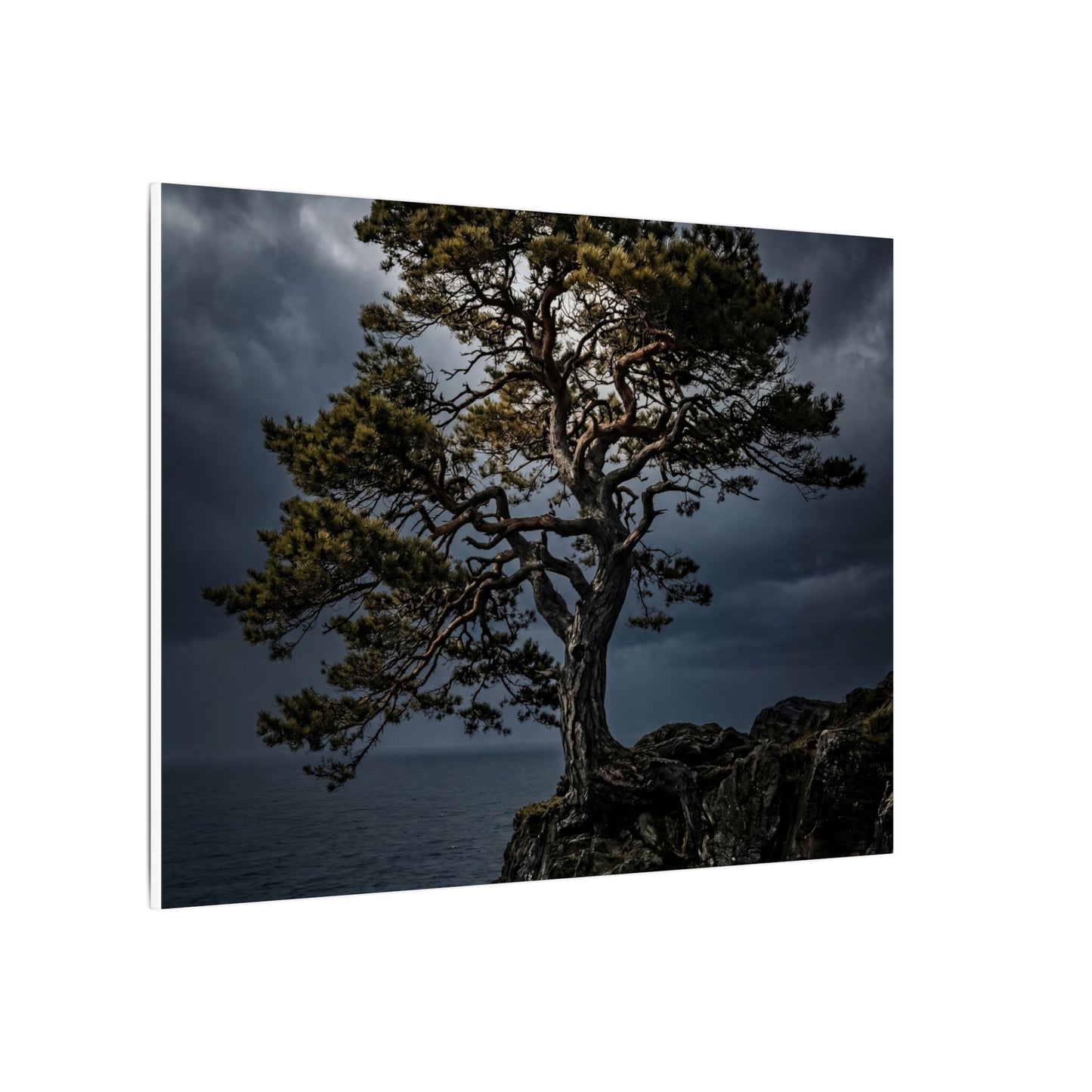 Dappled Pine Tree Canvas Art - Dark Japandi Fukinsei