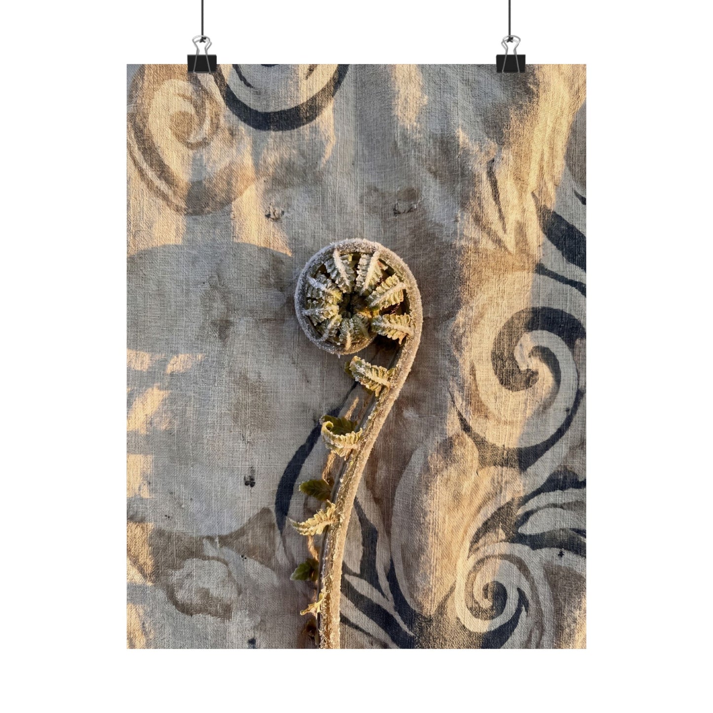 Fern Unfurling Winter Wall Art Print | Japandi Warm Design