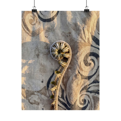 Fern Unfurling Winter Wall Art Print | Japandi Warm Design