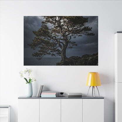 Dappled Pine Tree Canvas Art - Dark Japandi Fukinsei