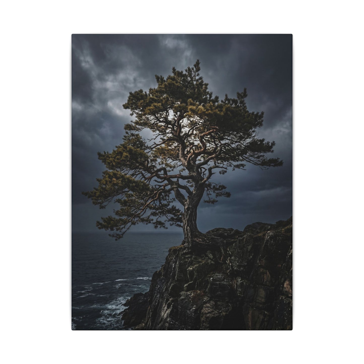 Dappled Pine Tree Canvas Art - Dark Japandi Fukinsei
