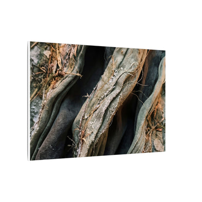 Silk Drape Winter Canvas Art | Japandi Cozy Design
