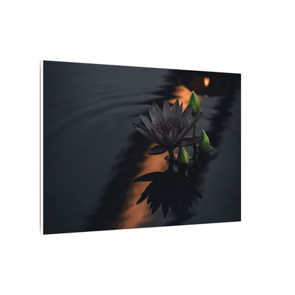 Seijaku Lotus Flower Canvas Art - Dark Japandi Shadow Zen
