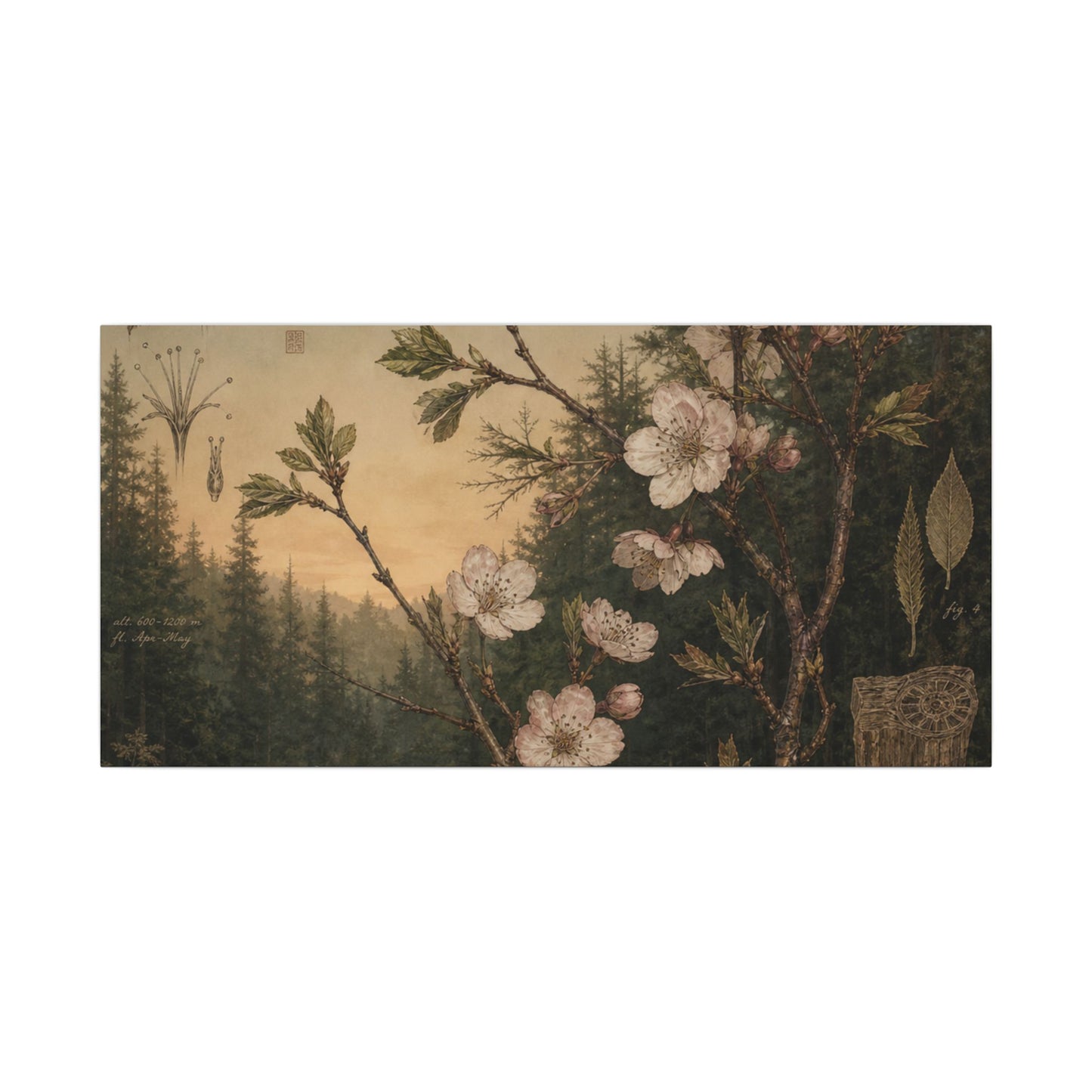 Spring Cherry Blossom Herbarium Canvas Art | Nostalgic Decor
