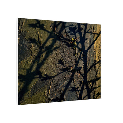 Kanso Shadow Play Canvas Art - Dark Japandi Dark Texture