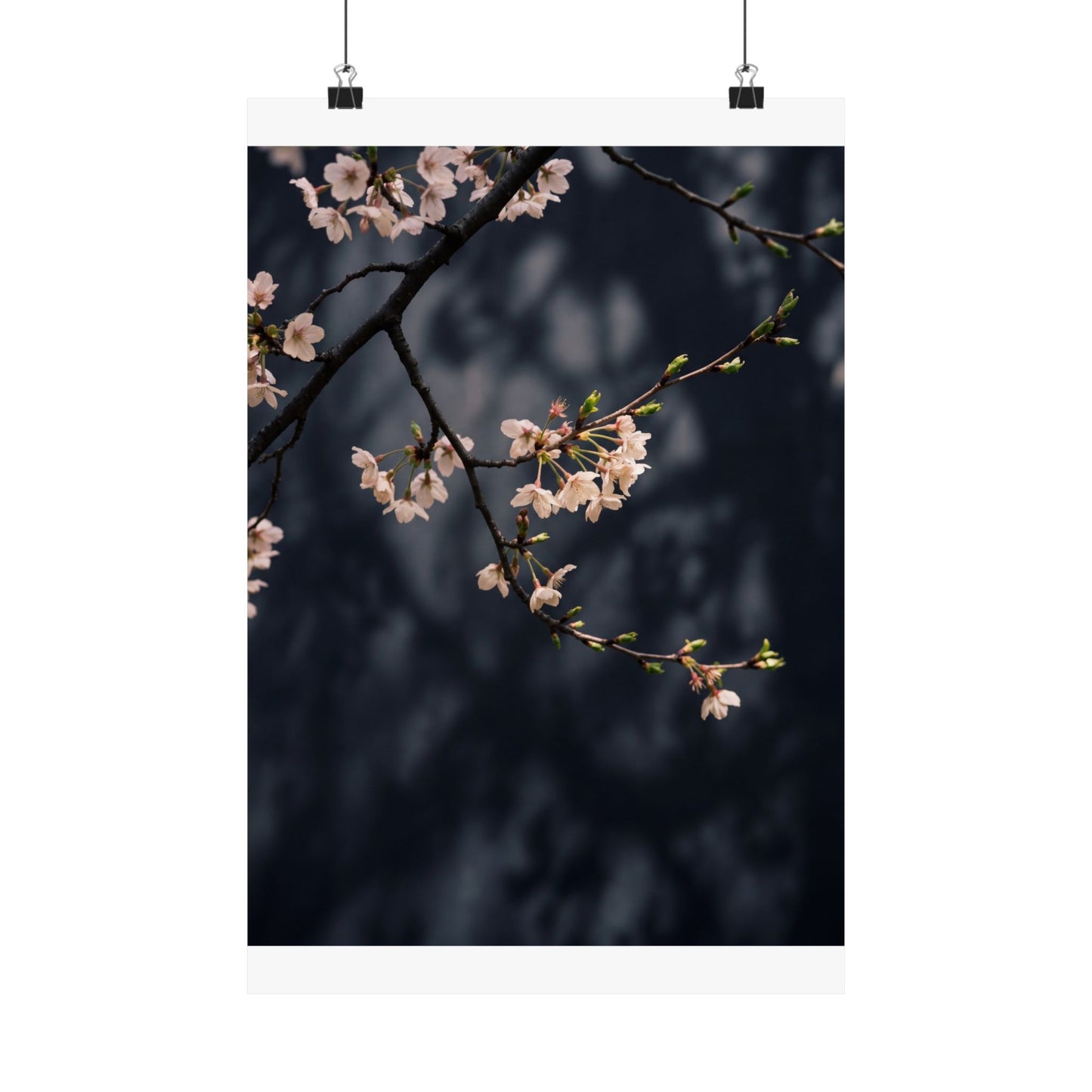 Dappled Cherry Blossom Wall Art Print - Dark Japandi Ma