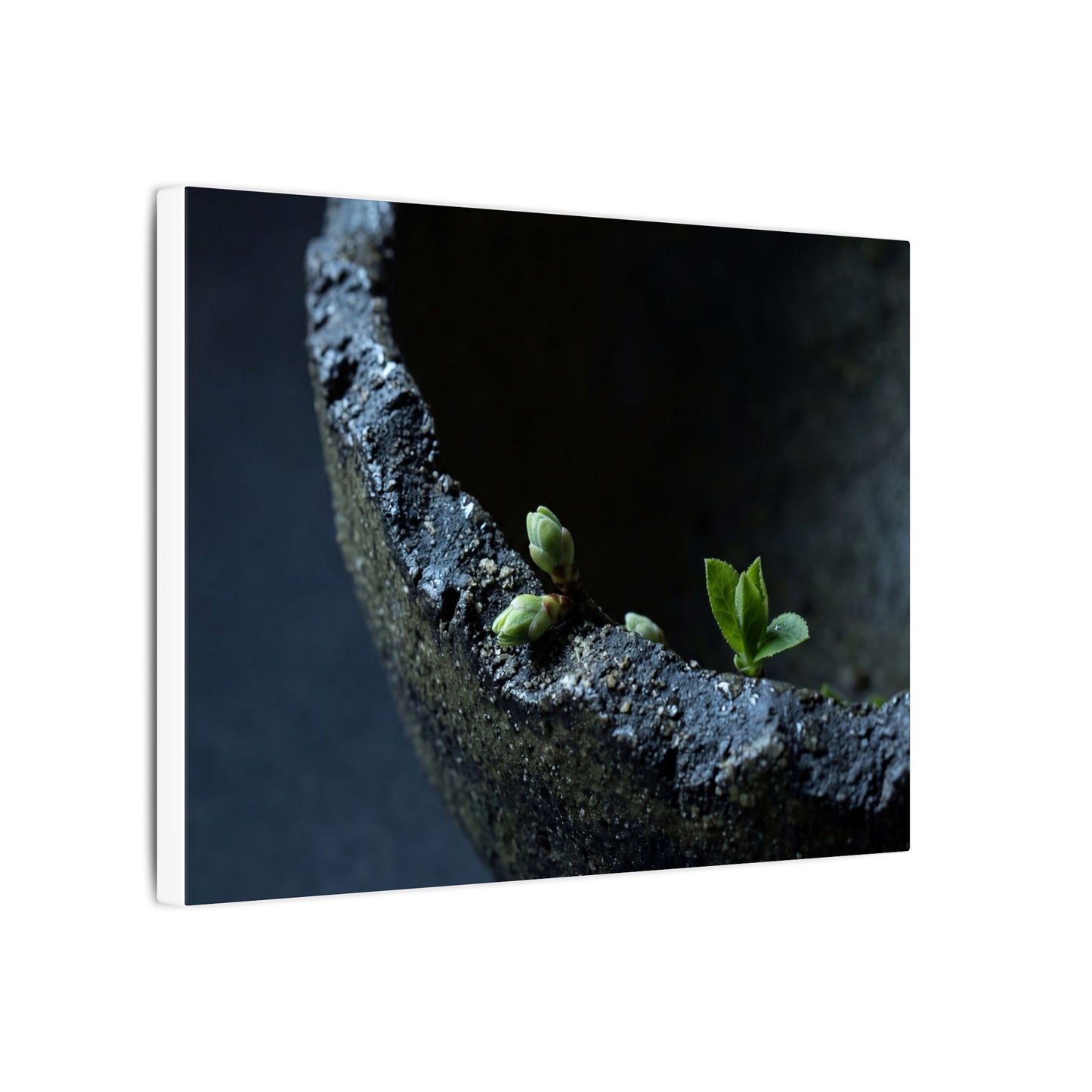 Dark Japandi Ceramic Bowl in Moonlight | Moody Minimal Canvas Art