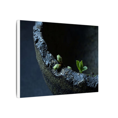Dark Japandi Ceramic Bowl in Moonlight | Moody Minimal Canvas Art