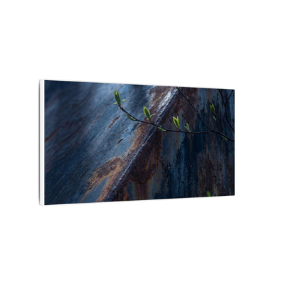 Rust Patina Canvas Art | Spring Dark Japandi Shadow Zen Art