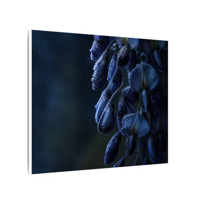 Winter Wisteria Shadow Zen Canvas Art | Atmospheric Decor