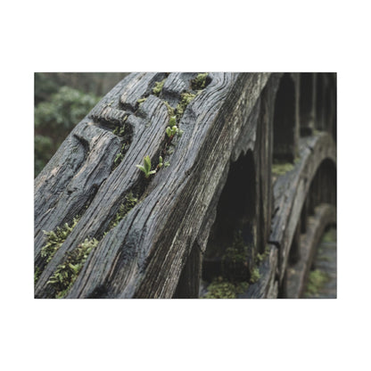 Overcast Wooden Bridge Canvas Art - Japandi Kanso Art Print