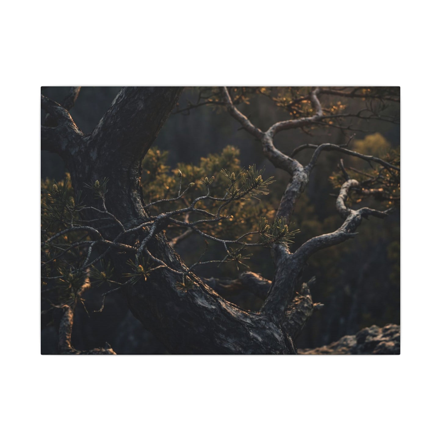Moody Pine Tree Canvas Art - Moody Minimal Dark Japandi Art Print