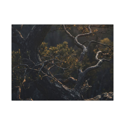 Moody Pine Tree Canvas Art - Moody Minimal Dark Japandi Art Print