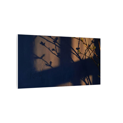 Shadow Play Canvas Art | Spring Dark Japandi Shadow Zen Art