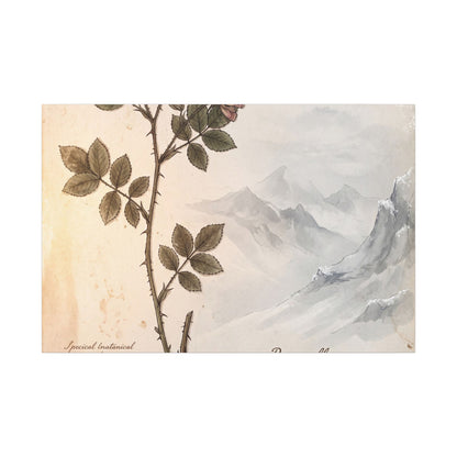Winter Mountain Mist Herbarium Canvas Art | Earthy Decor