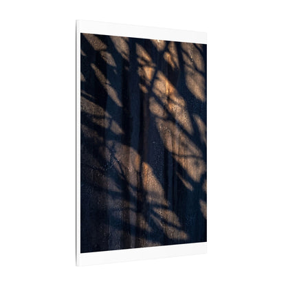 Dark Japandi Shadow Play in Golden Hour | Shadow Zen Canvas Art