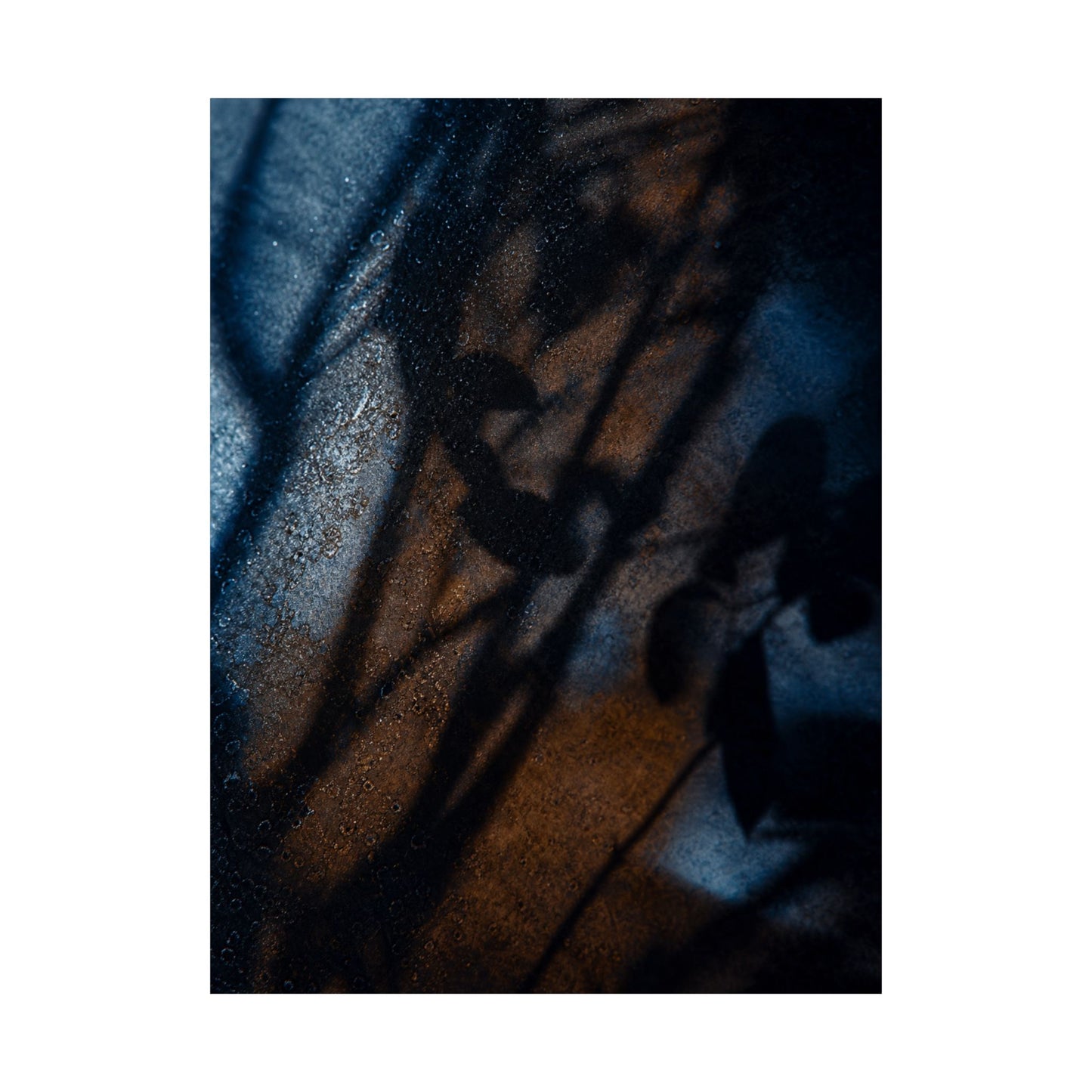 Winter Shadow Play Moody Minimal Wall Art Print | Luxurious Decor