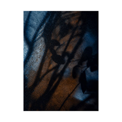 Winter Shadow Play Moody Minimal Wall Art Print | Luxurious Decor