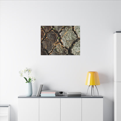 Earthy Cracked Earth Canvas Art - Japanese Pattern Japandi