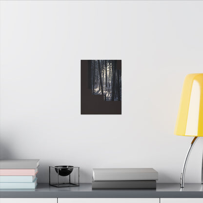 Bamboo Grove Canvas Art | Winter Dark Japandi Moody Minimal Art
