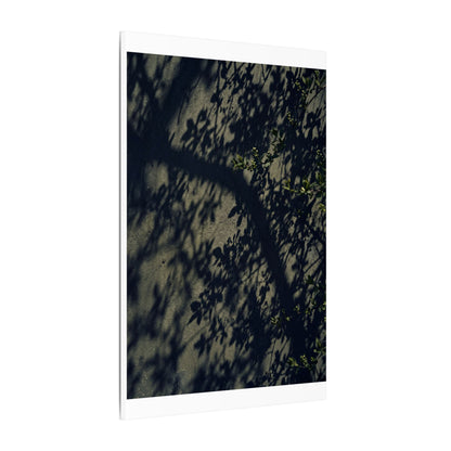 Atmospheric Shadow Play Canvas Art - Moody Minimal Dark Japandi