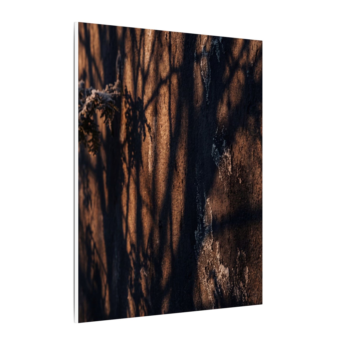Golden Hour Shadow Play Canvas Art - Dark Japandi Fukinsei