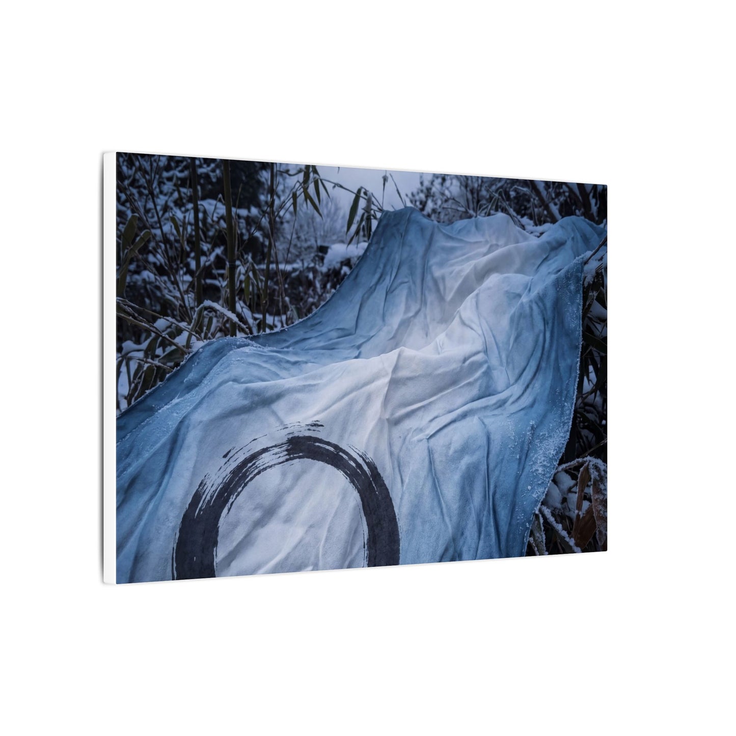 Moonlight Silk Drape Canvas Art - Zen Datsuzoku