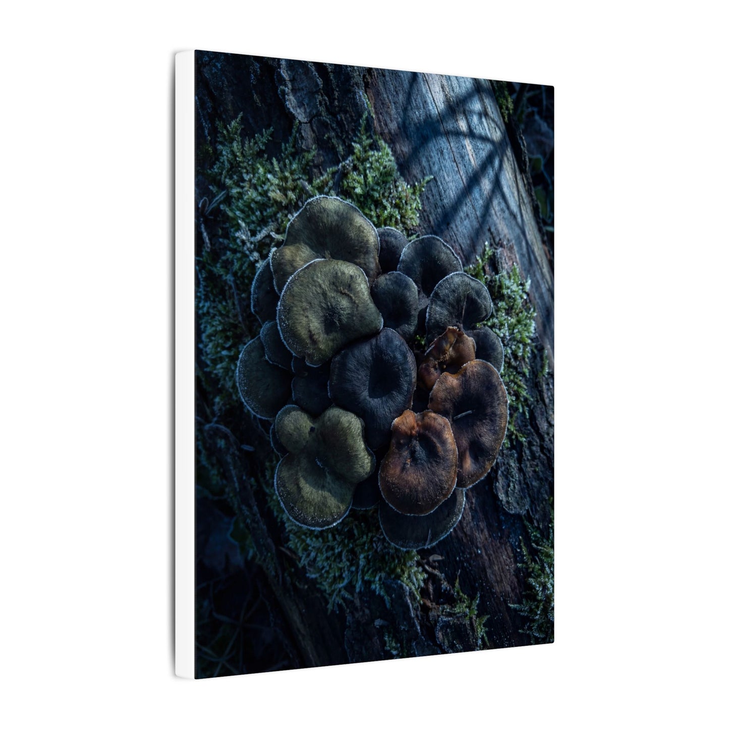 Wild Mushrooms Moody Minimal Canvas Art | Moody Dark Japandi Art