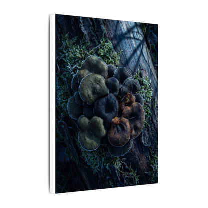 Wild Mushrooms Moody Minimal Canvas Art | Moody Dark Japandi Art