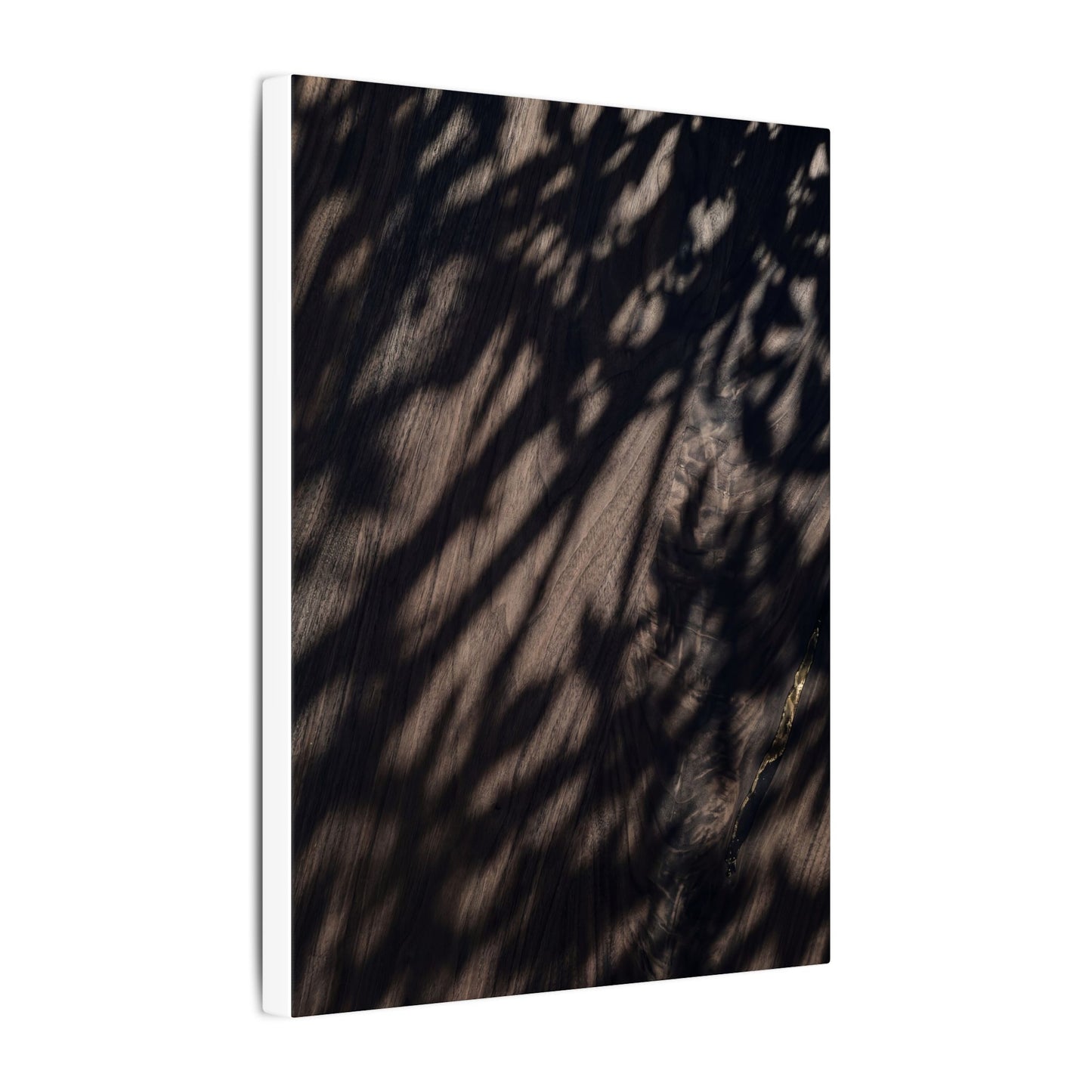 Shadow Play Summer Canvas Art | Dark Japandi Moody Design