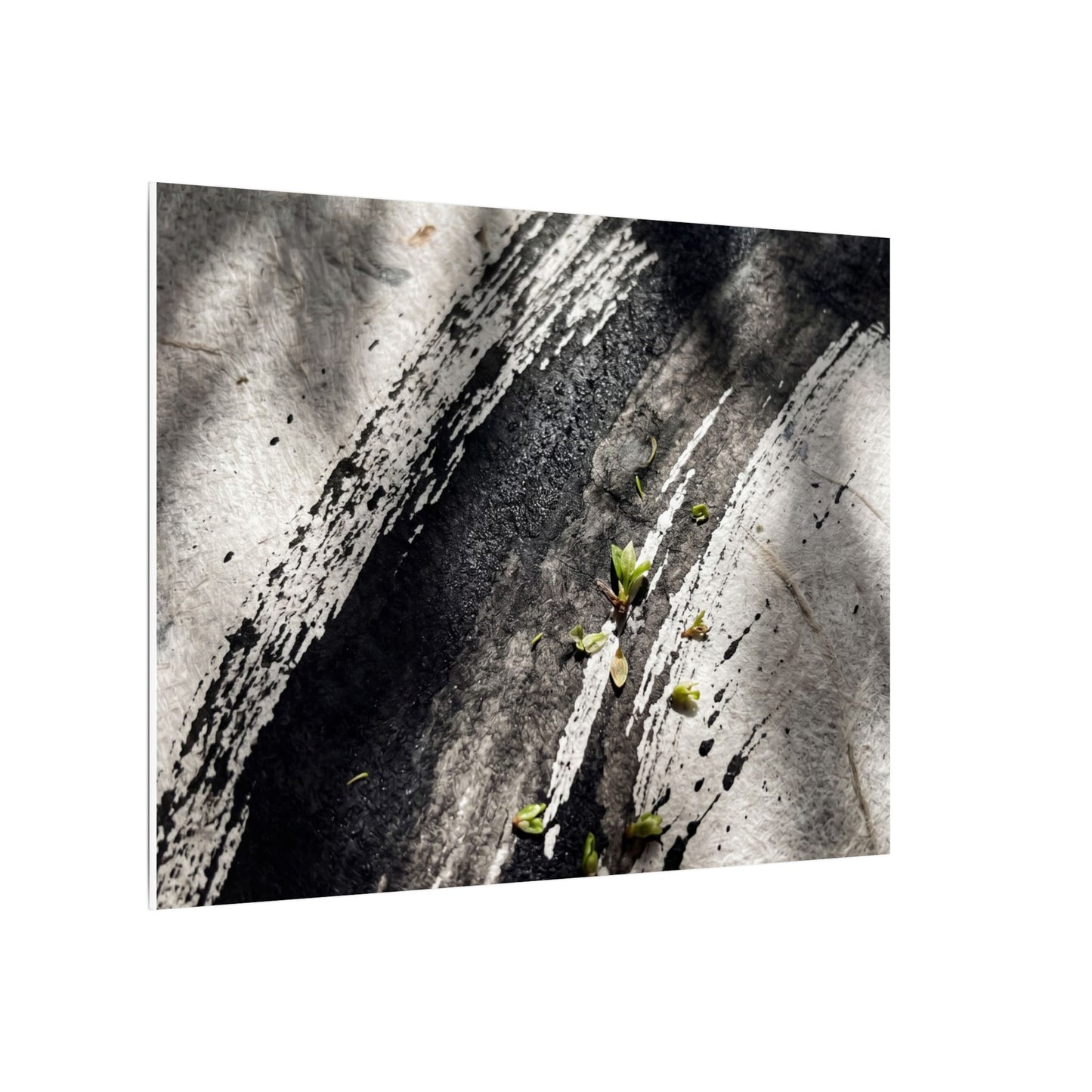 Ink Brushstroke Canvas Art | Spring Dark Japandi Moody Minimal Art