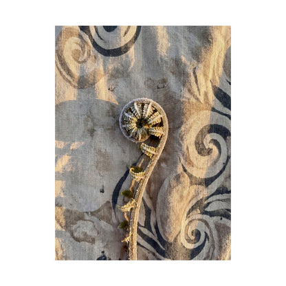 Fern Unfurling Winter Wall Art Print | Japandi Warm Design
