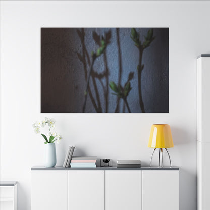 Shadow Play Spring Canvas Art | Dark Japandi Sophisticated Design